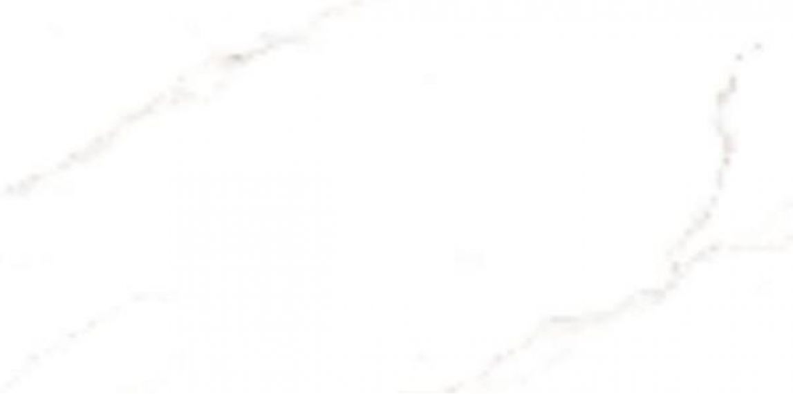 LIONI White Glossy 60x120