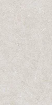 LIVIN LIGHT GREY 60x120