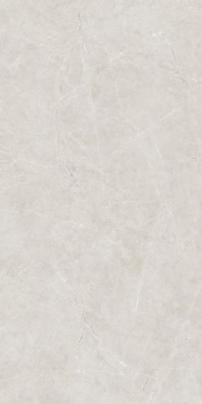 LIVIN LIGHT GREY 60x120