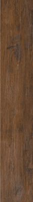 LNOT 2012OLD RM 20x120 