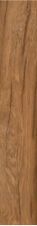 LOIRE UMBER 20x120