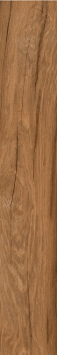 LOIRE UMBER 20x120