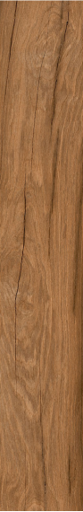 LOIRE UMBER 20x120