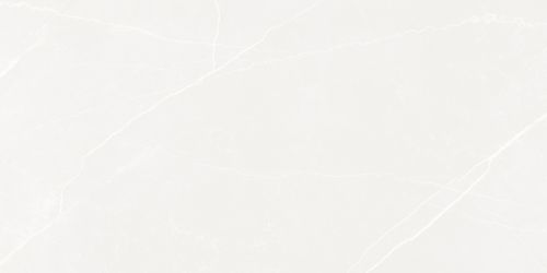 LP6012G0191R Керамогранит Opera Bianco белый матовый 59,5х119,1