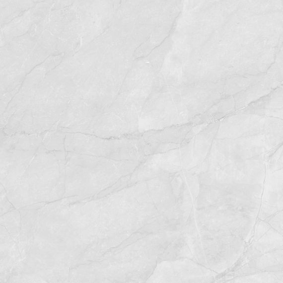 LP6060G0241R Керамогранит Berna Silver светло-серый матовый 59,5х59,5