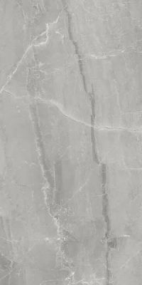 LS6S5X2 Керамогранит Gray Marble Lev 120x278
