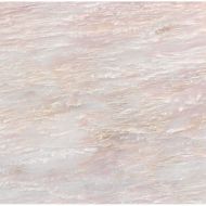 LSR0029 Peonia 60*60