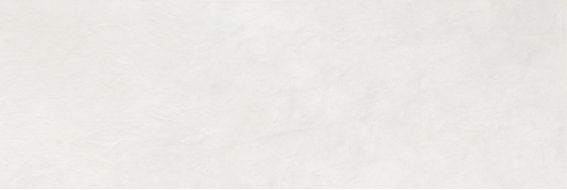 Lauretta white wall 01 30х90
