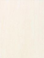 Lazio WADKB001 25*33