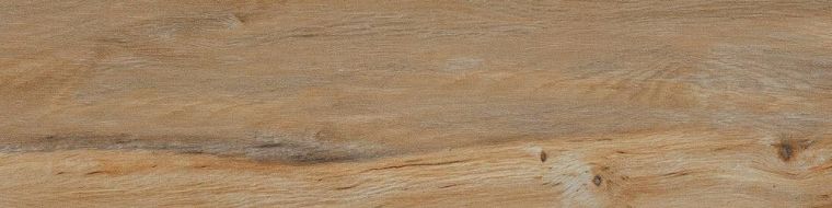 Leccio Classico 10x40