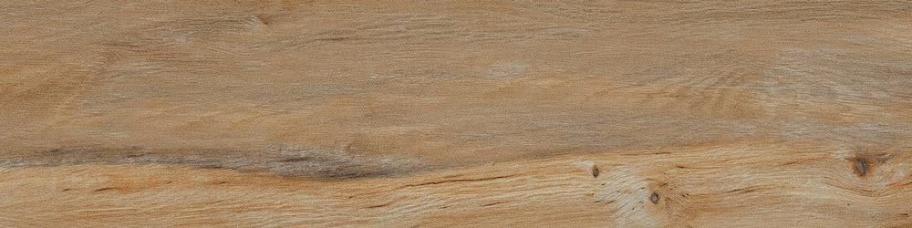 Leccio Classico 10x40