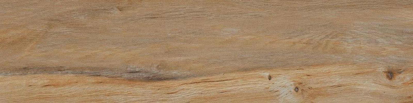 Leccio Classico 10x40