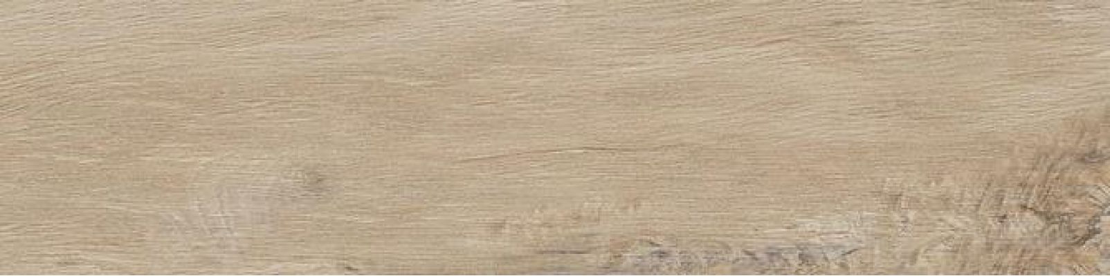 Leccio Gentile 10x40