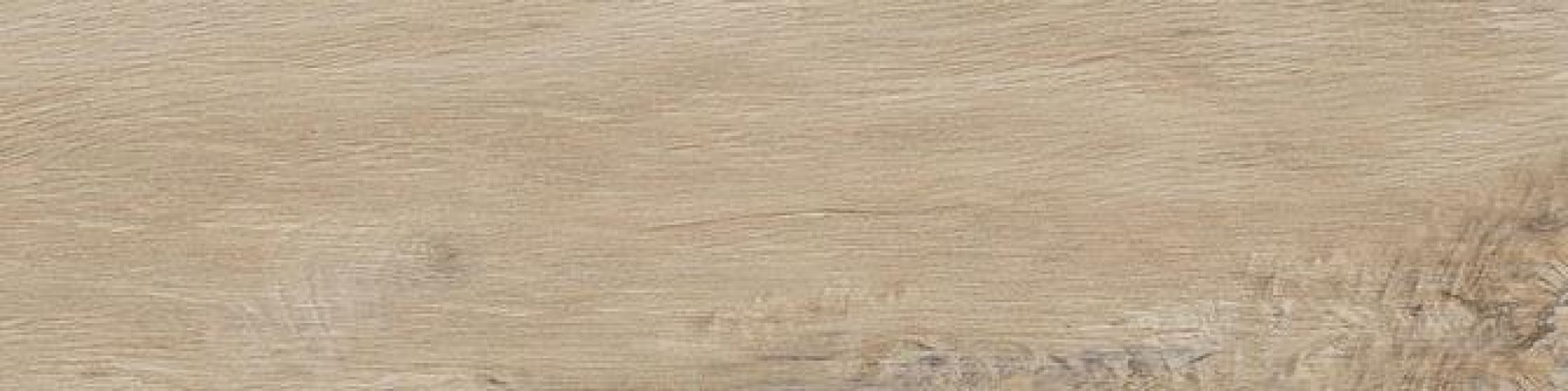 Leccio Gentile 10x40