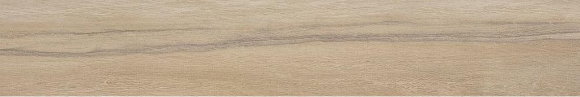 Leccio Gentile Ret 20x120