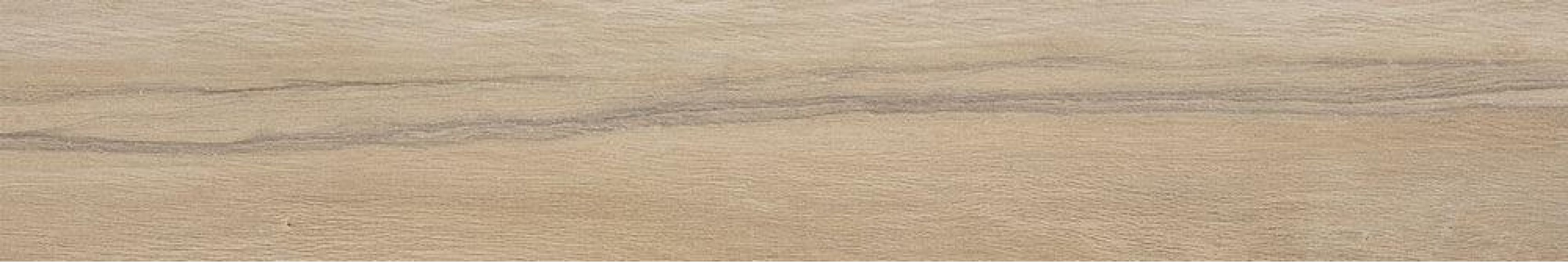 Leccio Gentile Ret 20x120