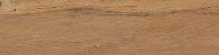 Leccio Oliato 10x40