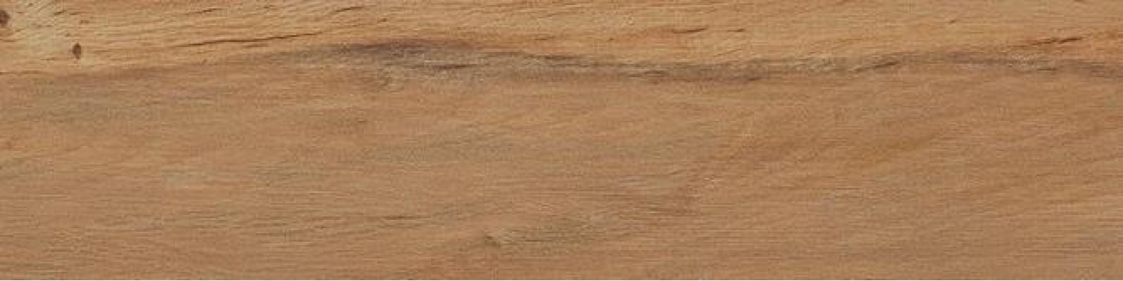 Leccio Oliato 10x40