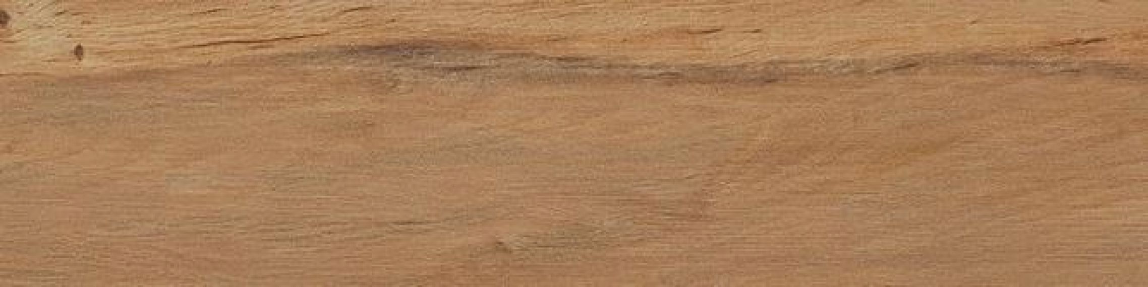 Leccio Oliato 10x40