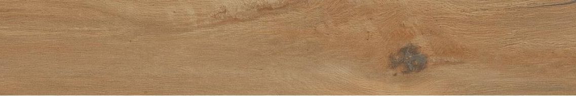 Leccio Oliato Ret 20x120