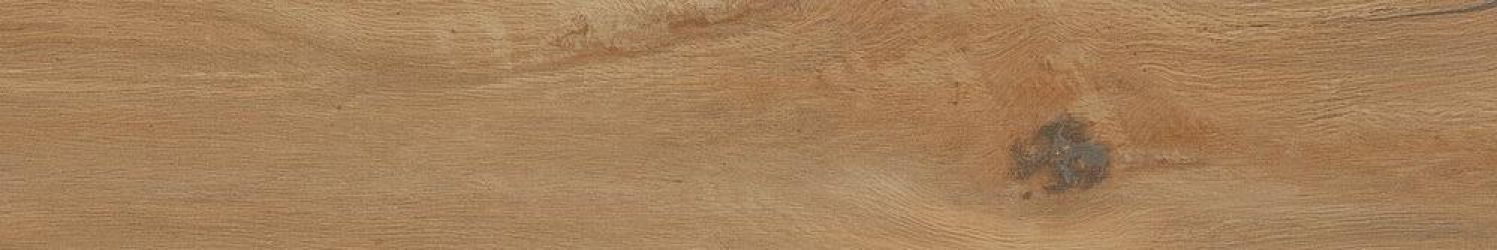 Leccio Oliato Ret 20x120