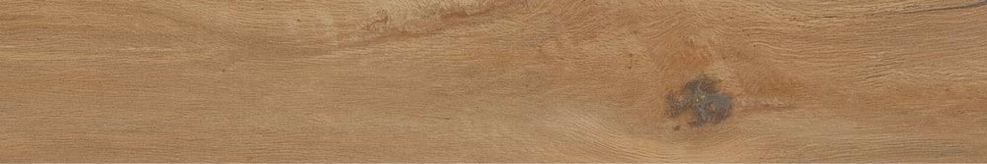 Leccio Oliato Ret 20x120