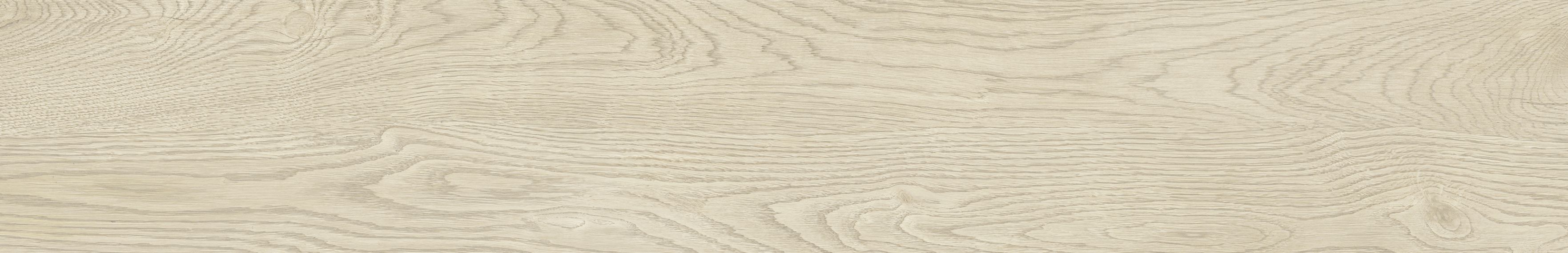 Legno 20 betulla 19.4x120