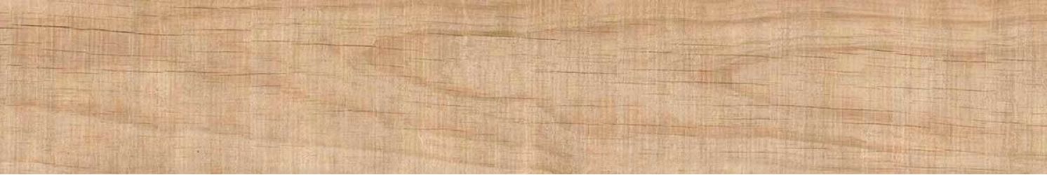 Legno Cassa Roble 20x120
