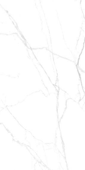 Lentin Statuario Endless Premium Matt 60х120