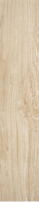 Light Beige 20x100