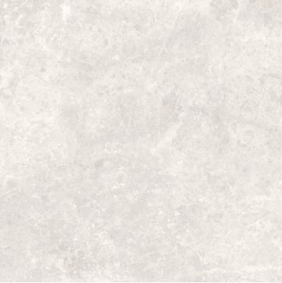 Light Grey MATT RET 59,9x59,9