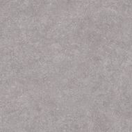 Light Stone Grey 60x60
