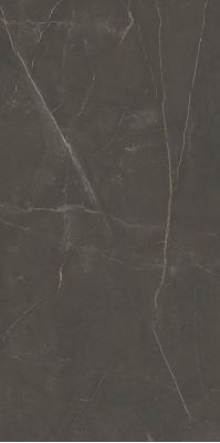 Linearstone Brown 59.8x119.8