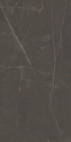 Linearstone Brown 59.8x119.8