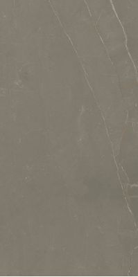 Linearstone Taupe 59.8x119.8