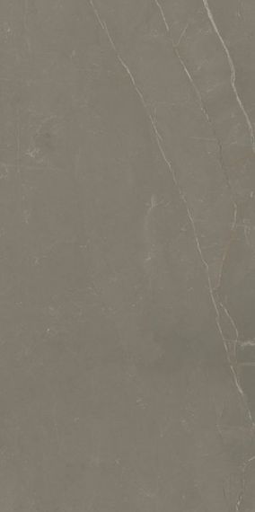 Linearstone Taupe 59.8x119.8