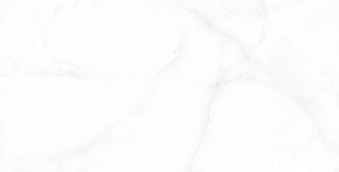 Liola White Matt 60x120
