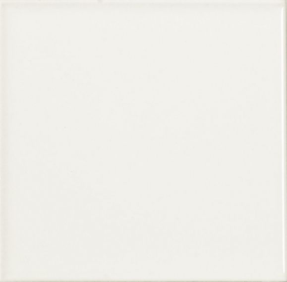 Liso Blanco Brillo 10х10