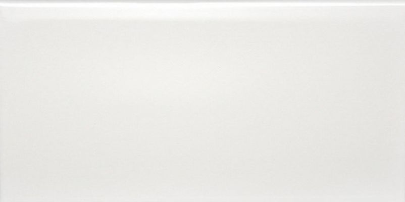 Liso Blanco Brillo 7,5х15