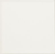 Liso Blanco Mate 10х10