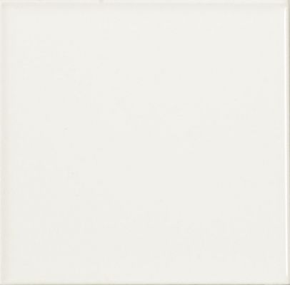 Liso Blanco Mate 10х10