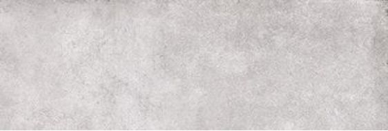 Locarno Grey 25x75x0.9