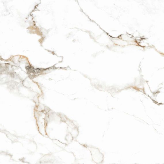 Loreal White Polished 80x80
