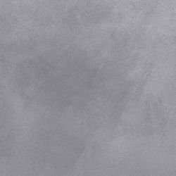 Lotus Grey 80x80