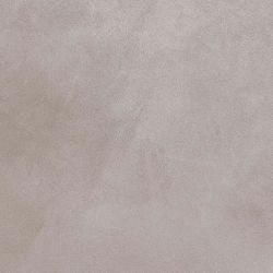 Lotus Warm Grey 80x80