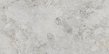 Lunier Gray 60x120