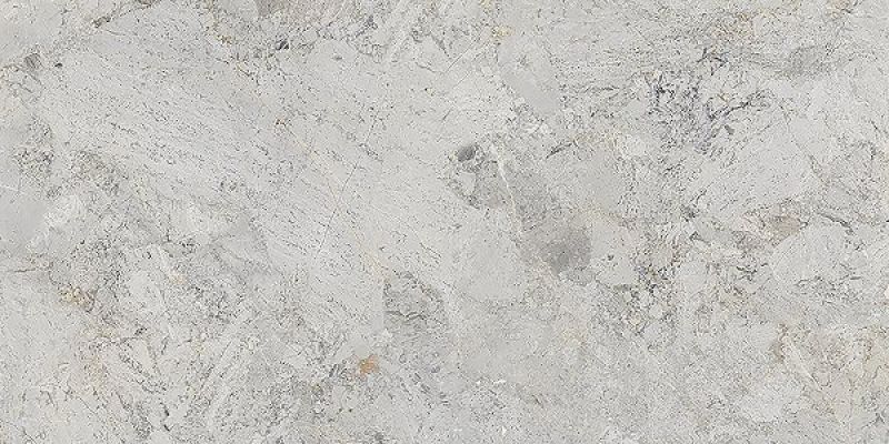 Lunier Gray 60x120