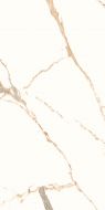 Luxury Calacatta 60x120