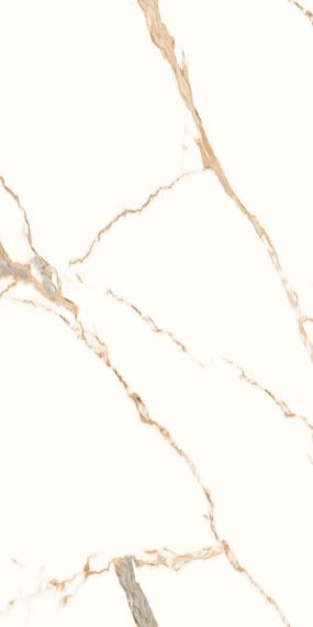 Luxury Calacatta 60x120