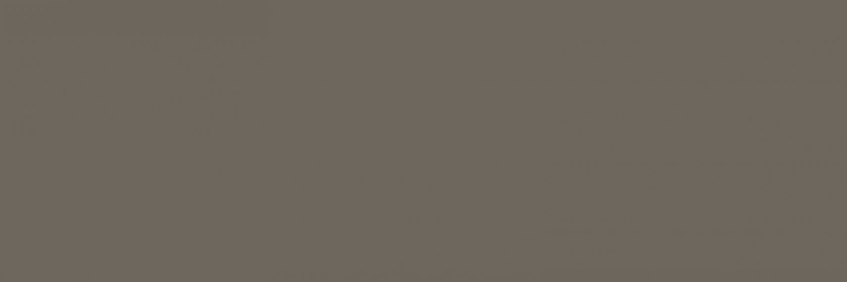 M19L Eclettica Taupe Rett 40x120